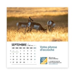 Calendrier chevalet carré (15x15 cm) personnalisé - Faune