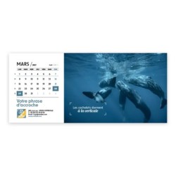 Calendrier chevalet horizontal (23x10 cm) personnalisé - Océan