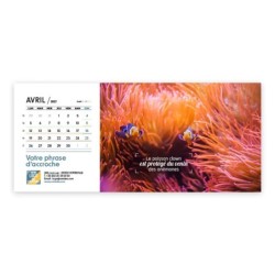 Calendrier chevalet horizontal (23x10 cm) personnalisé - Océan