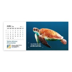 Calendrier chevalet horizontal (23x10 cm) personnalisé - Océan