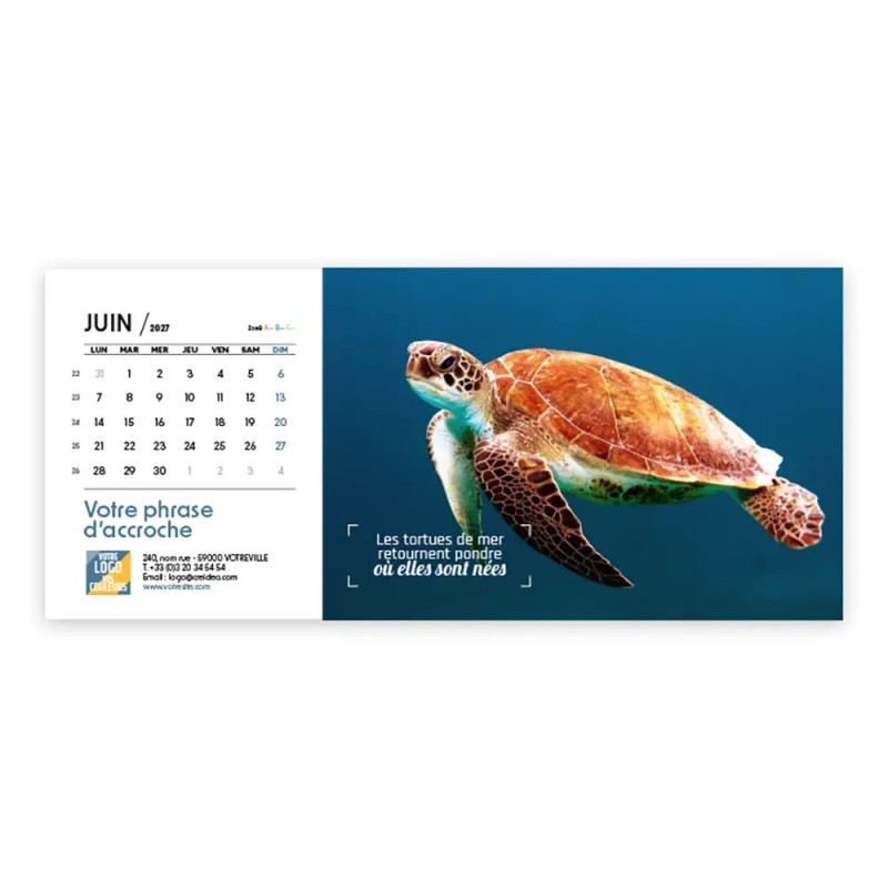 Calendrier chevalet horizontal (23x10 cm) personnalisé - Océan