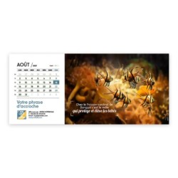 Calendrier chevalet horizontal (23x10 cm) personnalisé - Océan