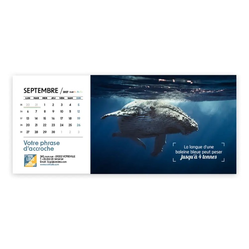 Calendrier chevalet horizontal (23x10 cm) personnalisé - Océan