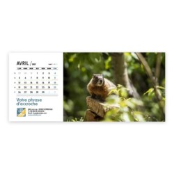 Calendrier chevalet horizontal (23x10 cm) personnalisé - Faune