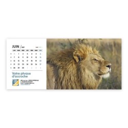 Calendrier chevalet horizontal (23x10 cm) personnalisé - Faune