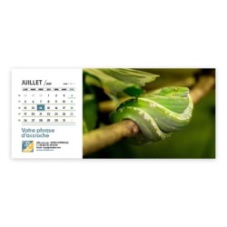 Calendrier chevalet horizontal (23x10 cm) personnalisé - Faune