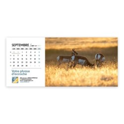 Calendrier chevalet horizontal (23x10 cm) personnalisé - Faune