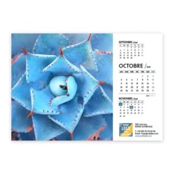 Calendrier chevalet A5 (21x15 cm) personnalisé - Zoom Nature