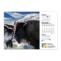 Calendrier chevalet A5 (21x15 cm) personnalisé - Faune