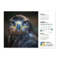 Calendrier chevalet A5 (21x15 cm) personnalisé - Faune