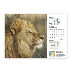 Calendrier chevalet A5 (21x15 cm) personnalisé - Faune