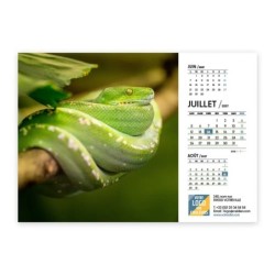 Calendrier chevalet A5 (21x15 cm) personnalisé - Faune
