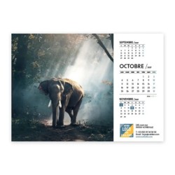 Calendrier chevalet A5 (21x15 cm) personnalisé - Faune
