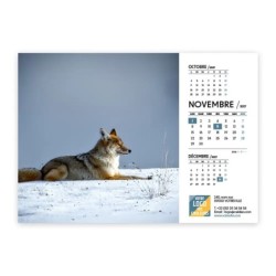 Calendrier chevalet A5 (21x15 cm) personnalisé - Faune