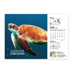 Calendrier chevalet A5 (21x15 cm) personnalisé - Océan