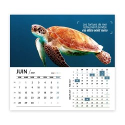 Calendrier chevalet intégral (15x18 cm) personnalisé - Océan