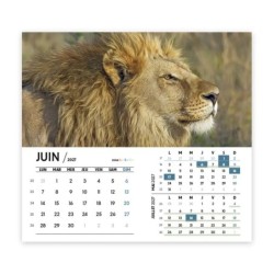 Calendrier chevalet intégral (15x18 cm) personnalisé - Faune