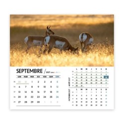 Calendrier chevalet intégral (15x18 cm) personnalisé - Faune