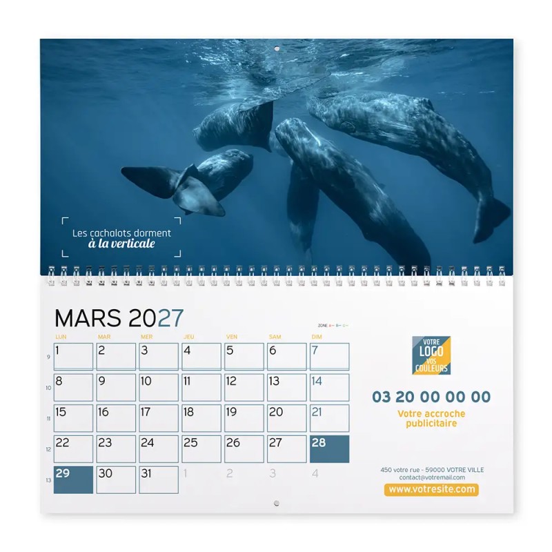 Calendrier mural (33x32 cm) personnalisé - Océan